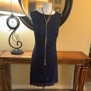 Gorgeous Shimmery Lace Dress